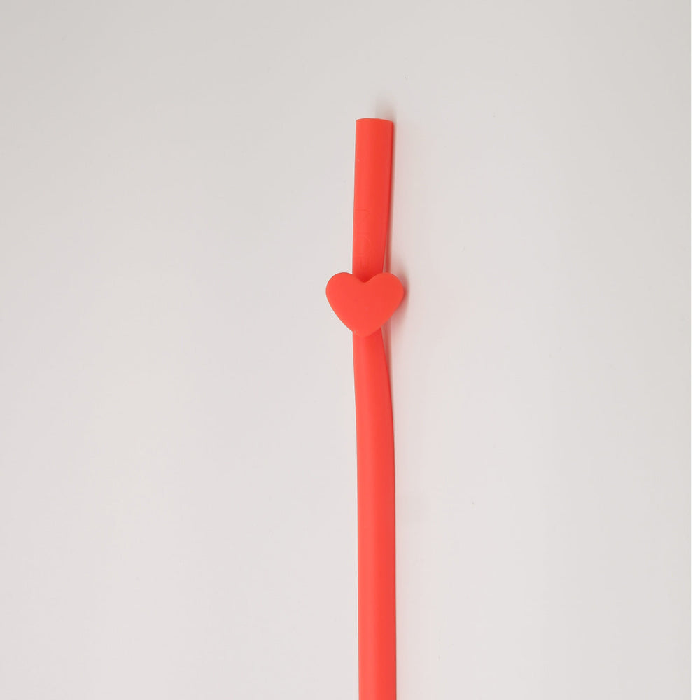 🎁 Ống hút tái sử dụng Nopa Move (100% off)